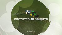 горско стопанство - 72061 оферти