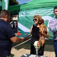 говедовъдство - 25623 снимки
