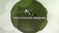 овощарство - 1168 бестселъри